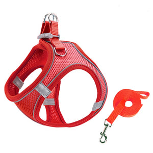 Small Pet Harness Leash Set