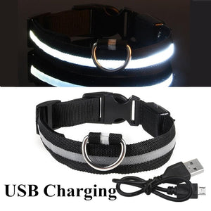 Adjustable LED Collar