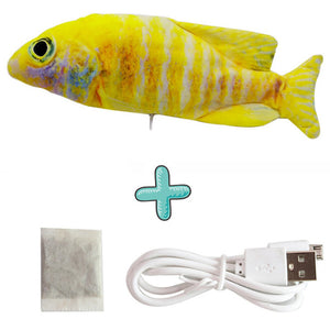 Jouet de poisson interactif avec chargeur USB pour chats