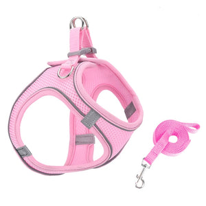 Small Pet Harness Leash Set