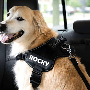 Ceinture de sécurité réglable pour chien