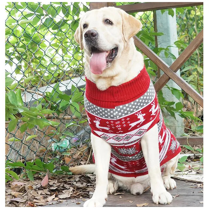 Pull de Noël pour grand chien