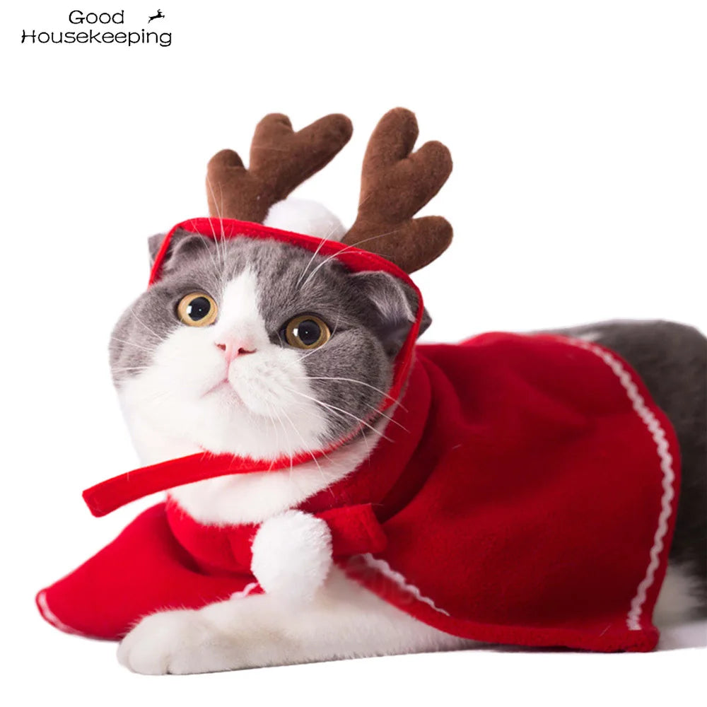 Costume de Noël pour animaux de compagnie