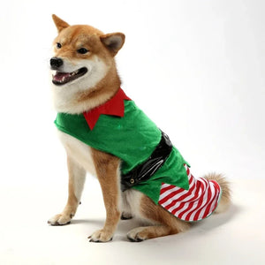 Gilet rayé lumineux de Noël pour chien