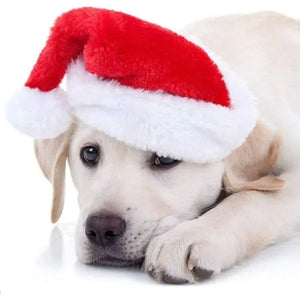 Pet Cat Dog Christmas Hat Cap