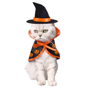 Funny Cat Halloween Cat Costume