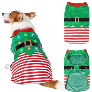 Gilet rayé lumineux de Noël pour chien