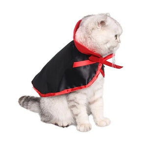 Costume de chat drôle d'Halloween