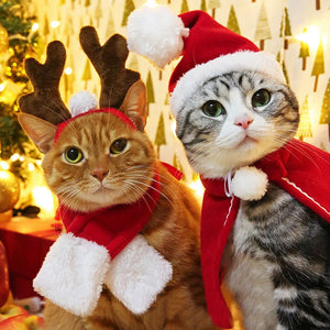 Vêtements de Noël pour animaux de compagnie