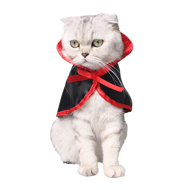 Costume de chat drôle d'Halloween