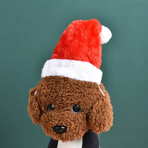 Chapeau de Noël rouge drôle et mignon