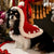 Cute Pet Dog Christmas Cloak