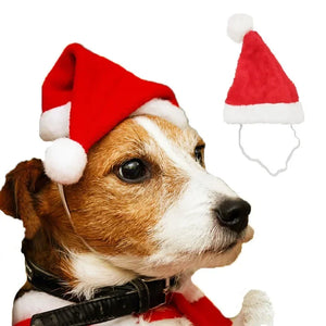 Pet Cat Dog Christmas Hat Cap