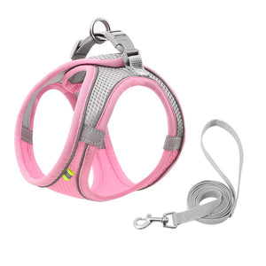 Small Pet Harness Leash Set