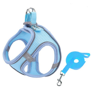 Small Pet Harness Leash Set