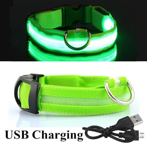 Adjustable LED Collar