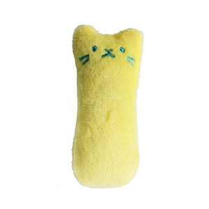 Catnip Toy for Cats