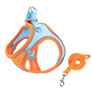 Small Pet Harness Leash Set