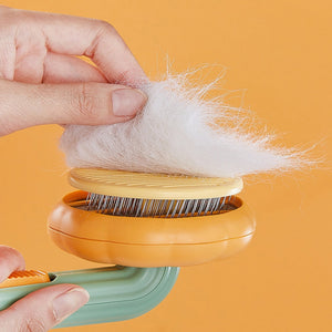 Brosse de toilettage citrouille pour chats