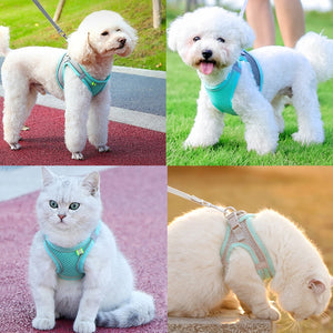 Small Pet Harness Leash Set