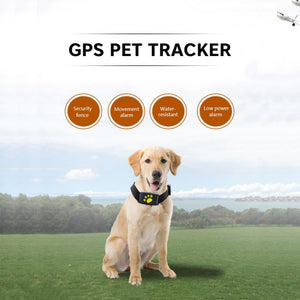 寵物 GPS 追蹤項圈