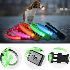 Adjustable LED Collar