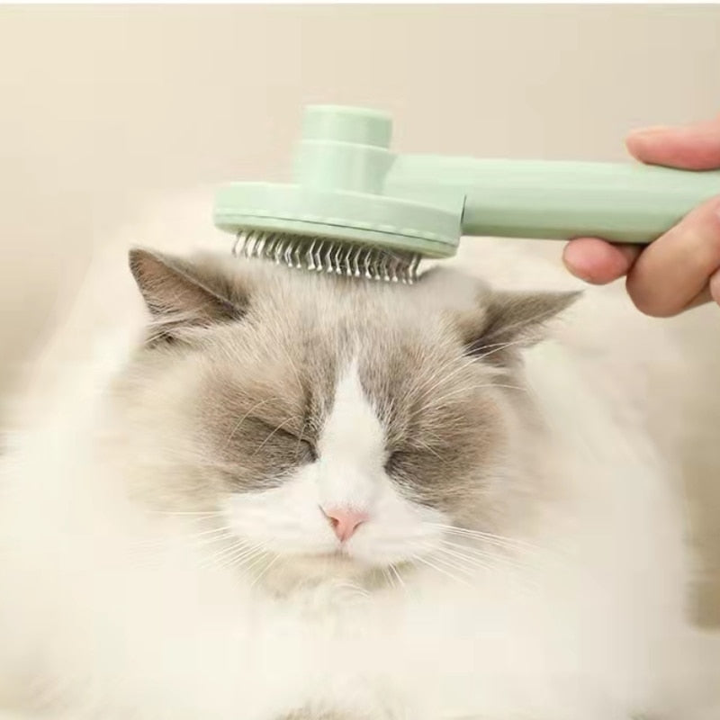 Brosse pour animaux de compagnie facile à nettoyer