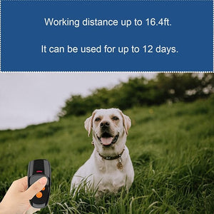Dog Barking Control Devices