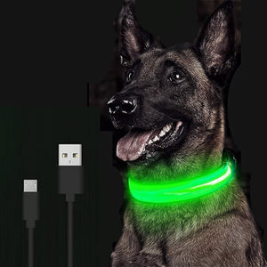 Adjustable LED Collar