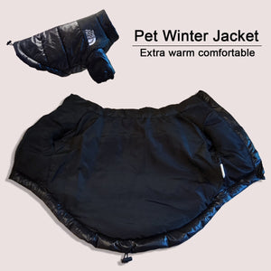 Veste réfléchissante coupe-vent pour chien