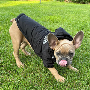 Veste à capuche réfléchissante pour animaux de compagnie