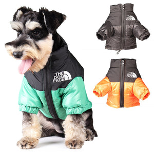 Veste réfléchissante coupe-vent pour chien