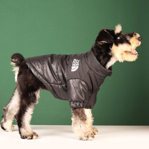 Veste réfléchissante coupe-vent pour chien