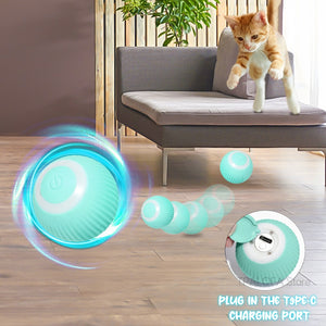 Jouets pour chatons auto-mobiles