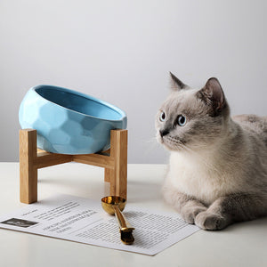 cat bowl