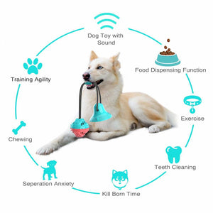 Jouet de morsure molaire multifonction pour animaux de compagnie