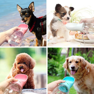 Bouteille d'eau de voyage pour animaux de compagnie