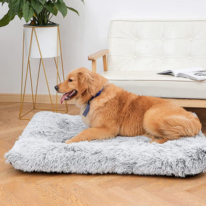 Lit pour chien lavable en peluche