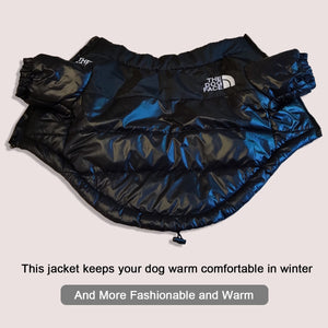 Veste réfléchissante coupe-vent pour chien