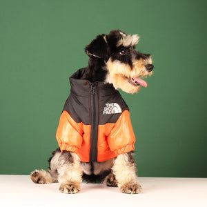 Veste réfléchissante coupe-vent pour chien