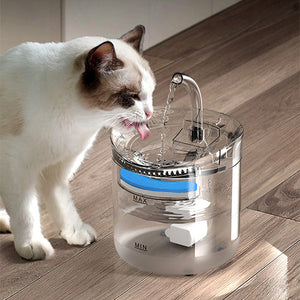 Fontaine à eau intelligente pour chat