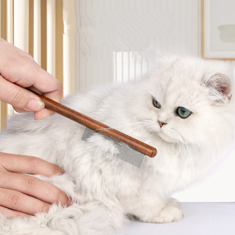 Persian 2024 cat comb