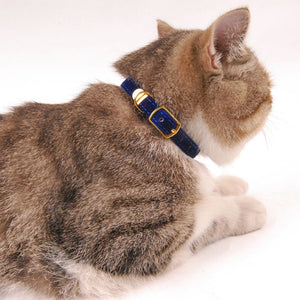 Collier pour petits chats et chiens