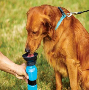 寵物狗便攜式水瓶飲水器