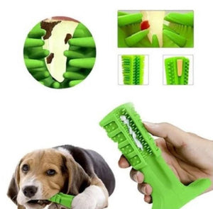 Brosse à dents pour animaux de compagnie