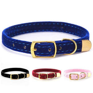 Collar For Small Cats & Dogs