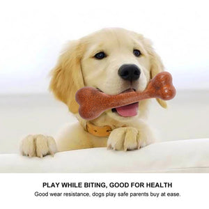 狗狗堅韌骨頭咀嚼玩具