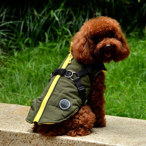 Manteau imperméable pour animaux de compagnie avec harnais