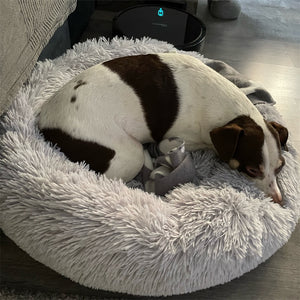 Pet Sleeping Bed