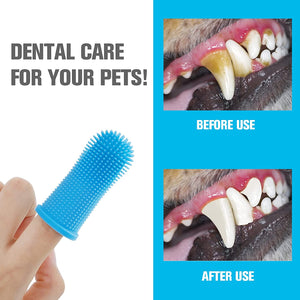 Brosse à dents super douce pour chien